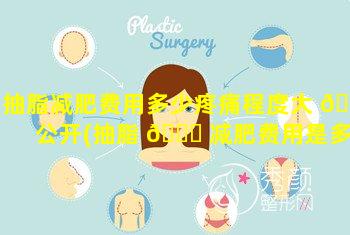 抽脂减肥费用多少疼痛程度大 🌻 公开(抽脂 💐 减肥费用是多少)